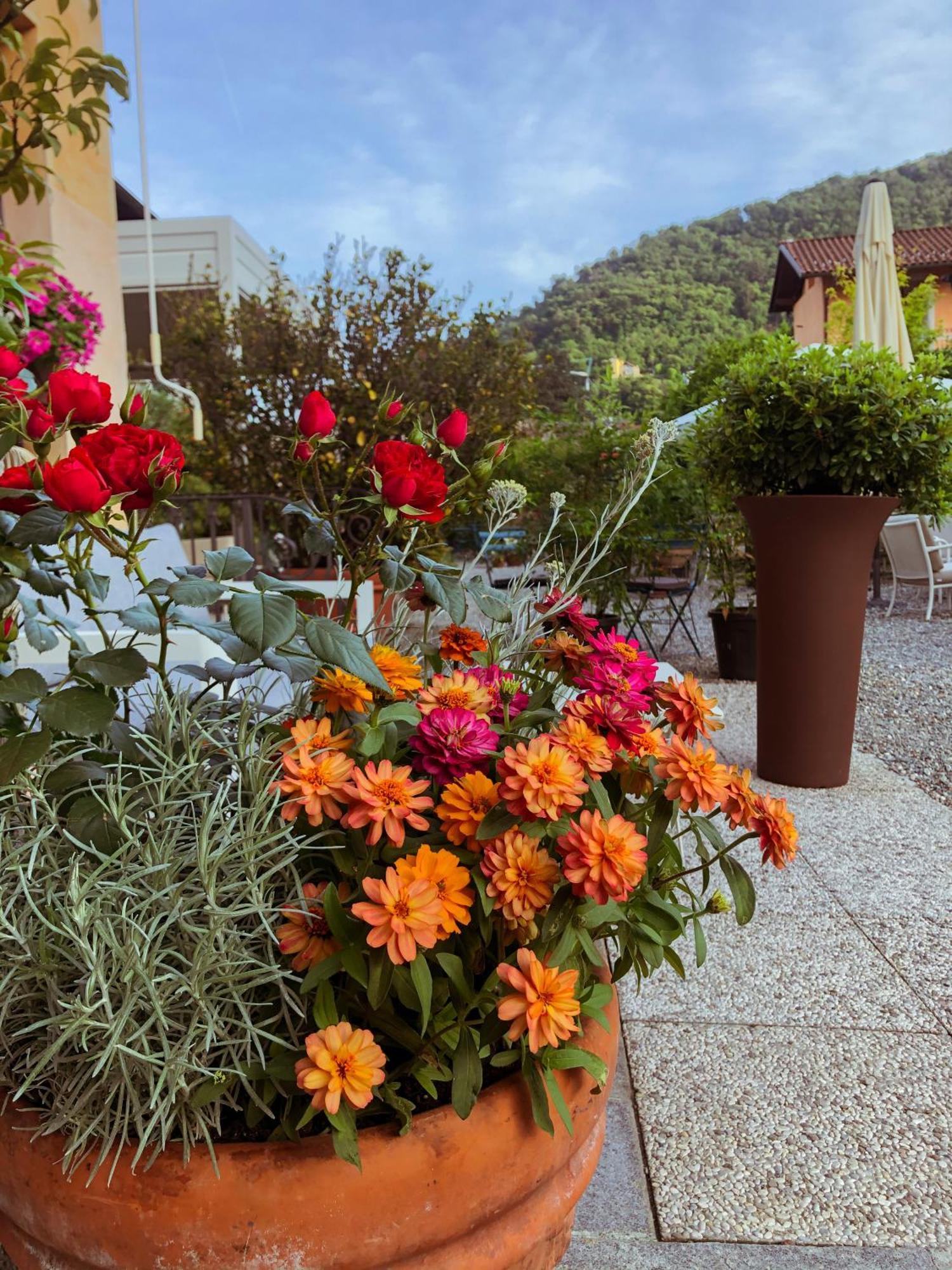 Hotel Antica Stallera Cannobio Eksteriør bilde